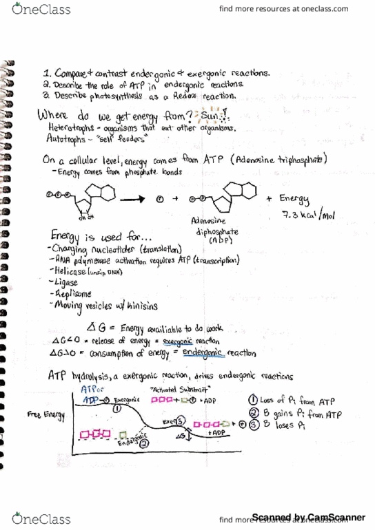 LB 145 Lecture 13: Energy and Redox Reactions thumbnail