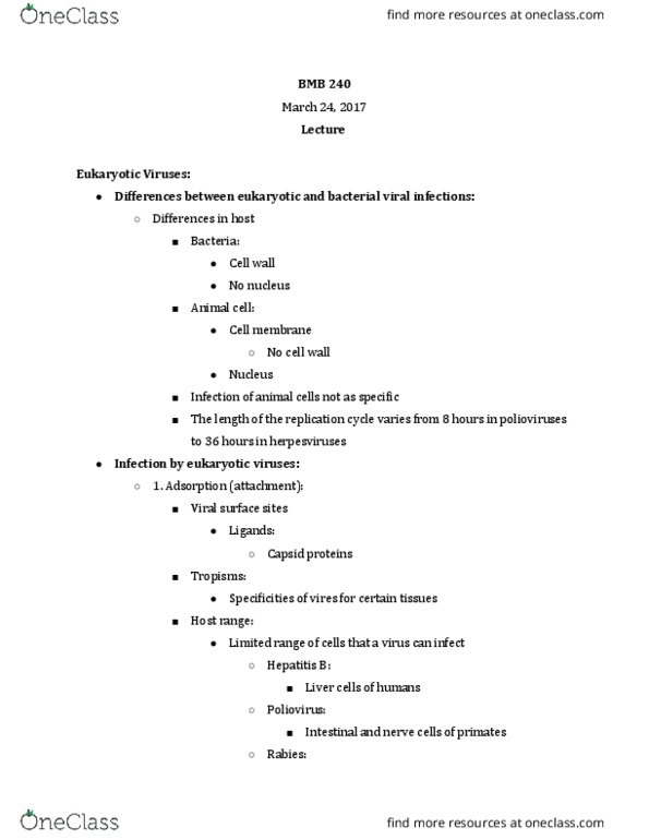 BMB 240 Lecture Notes - Lecture 1: Hepatitis B Virus, Poliovirus, Herpesviridae thumbnail