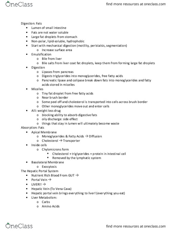 PNB 2265 Lecture Notes - Lecture 19: Portal Vein, Hepatic Portal System, Acetaldehyde Dehydrogenase thumbnail