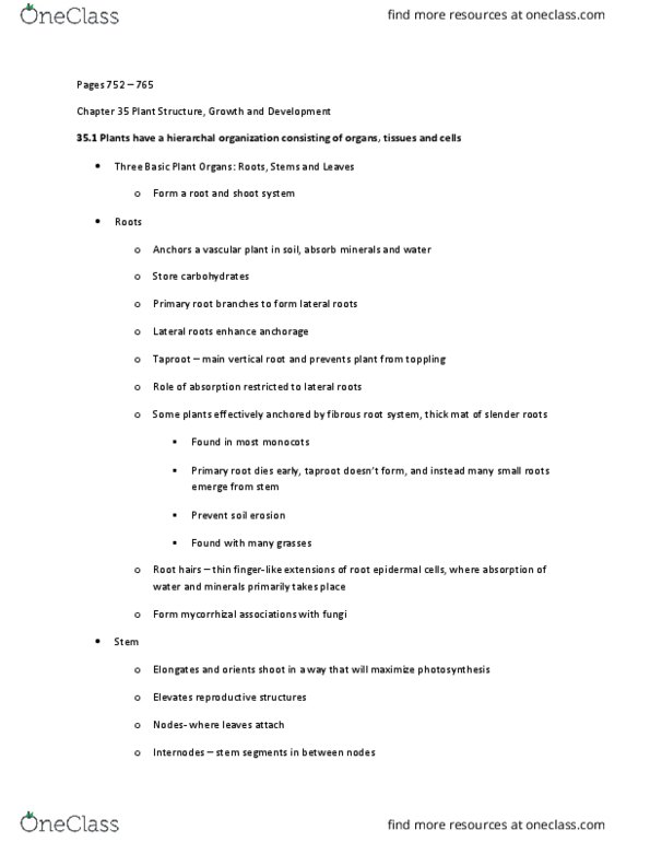 BIOL 2200 Chapter 35: Textbook Notes Plant Growth and Reproduction thumbnail