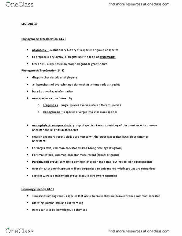 BIOL 1F90 Lecture Notes - Lecture 17: Phylogenetic Tree, Paraphyly, Cladogenesis thumbnail