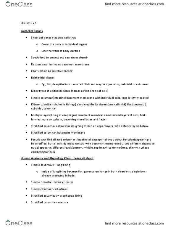 BIOL 1F90 Lecture Notes - Lecture 27: Endocrine System, Dactyly, Body Plan thumbnail