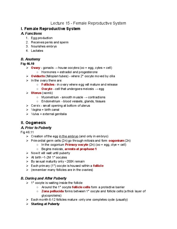 01:119:116 Lecture 15: Lecture 15 - Female Reproductive System thumbnail