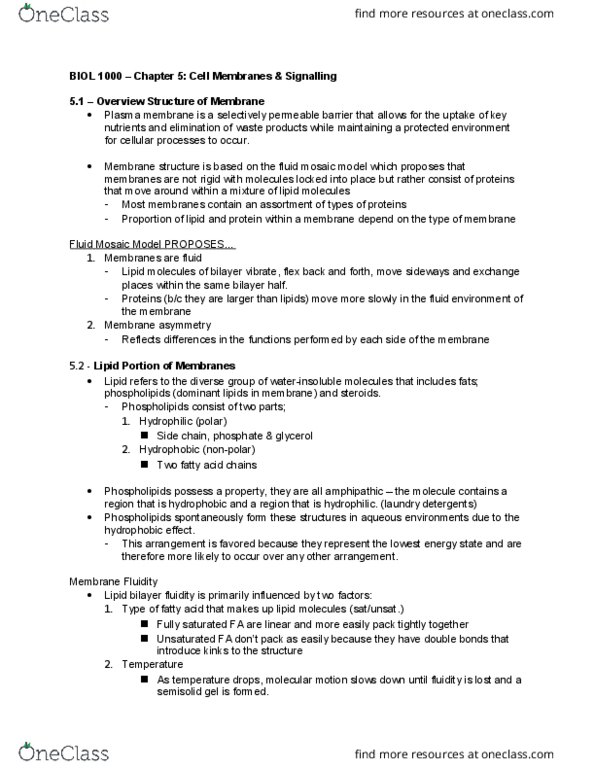 BIOL 1000 Chapter Notes - Chapter 5: Exocytosis, Electric Potential, Pinocytosis thumbnail