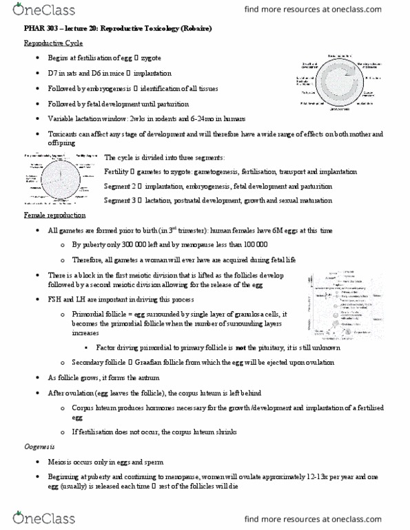 PHAR 303 Lecture Notes - Lecture 20: Seminiferous Tubule, Corpus Luteum, Leydig Cell thumbnail