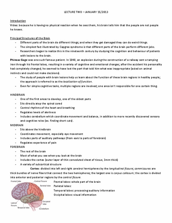 PSYC 2650 Lecture Notes - Lecture 2: Visual Cortex, Magnetic Resonance Imaging, Transcranial Magnetic Stimulation thumbnail