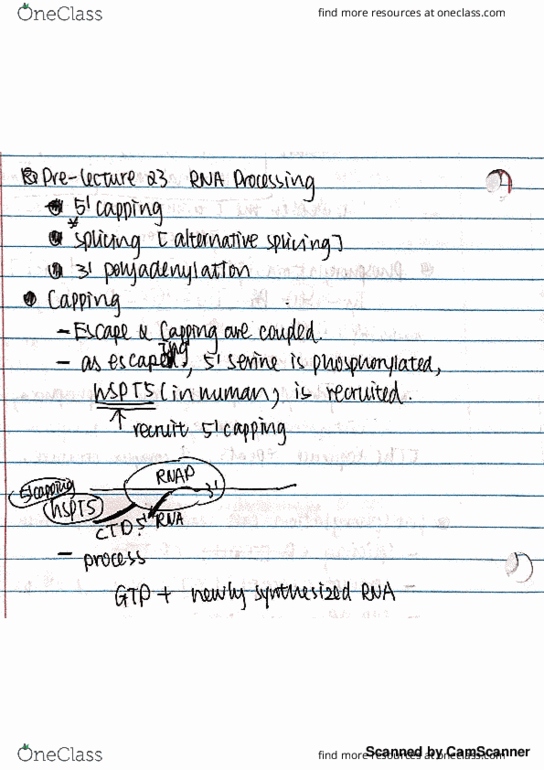 BIOCHEM 275 Lecture 23: Pre-Lecture: RNA Processing thumbnail