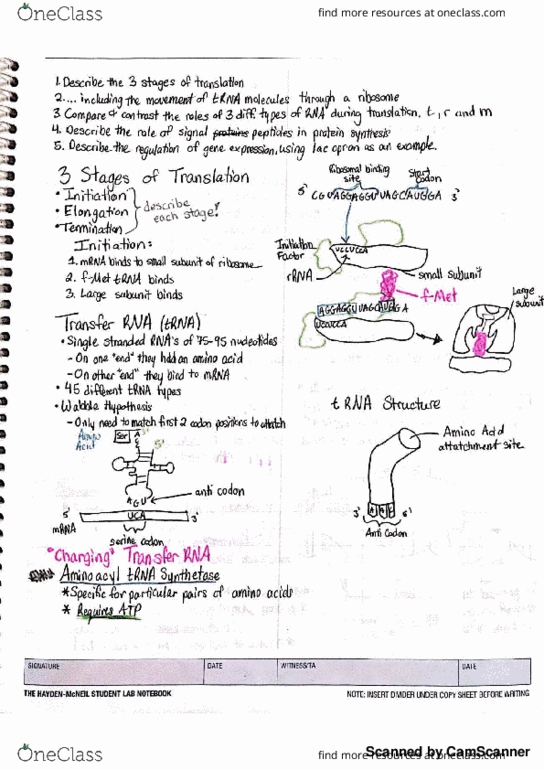 LB 145 Lecture 9: Translation and Operons thumbnail