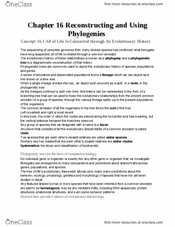 BSC 2010 Chapter Notes - Chapter 16: Binomial Nomenclature, Molecular Clock, Linnaean Taxonomy thumbnail