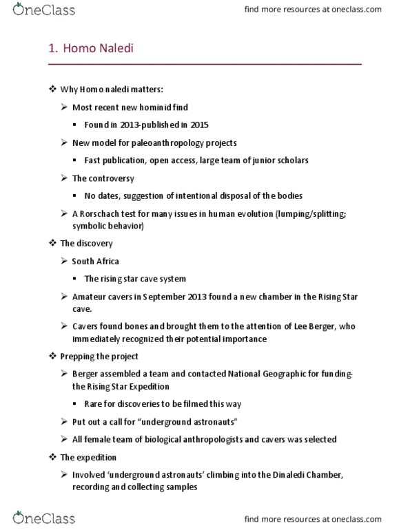 ANT-1430 Lecture Notes - Lecture 13: Rising Star Cave, Homo Naledi, Lee Rogers Berger thumbnail