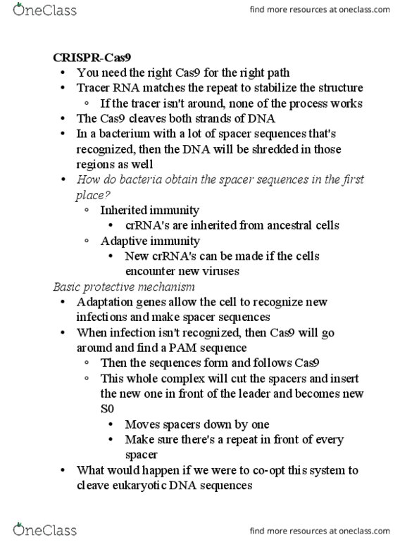 BMD RES 5HA Lecture Notes - Lecture 19: Midbrain, Antibody, Zygosity thumbnail