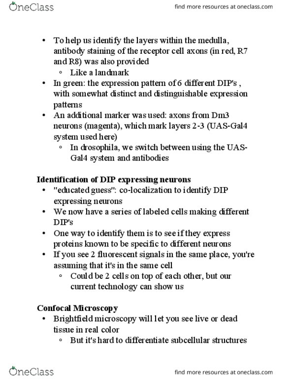 BMD RES 5HA Lecture Notes - Lecture 17: Flippase, Multicolor, Repressor Lexa thumbnail