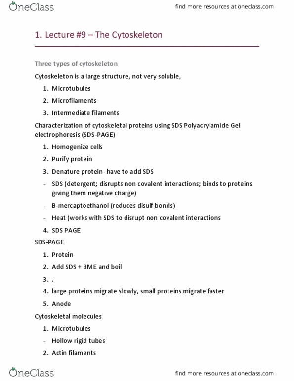 BIO 201 Lecture Notes - Lecture 9: Gel Electrophoresis, Polyacrylamide, Microtubule thumbnail