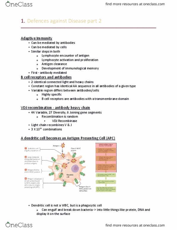 Biology 1202B Lecture Notes - Lecture 22: Antigen-Presenting Cell, Cell-Mediated Immunity, Immunity (Medical) thumbnail