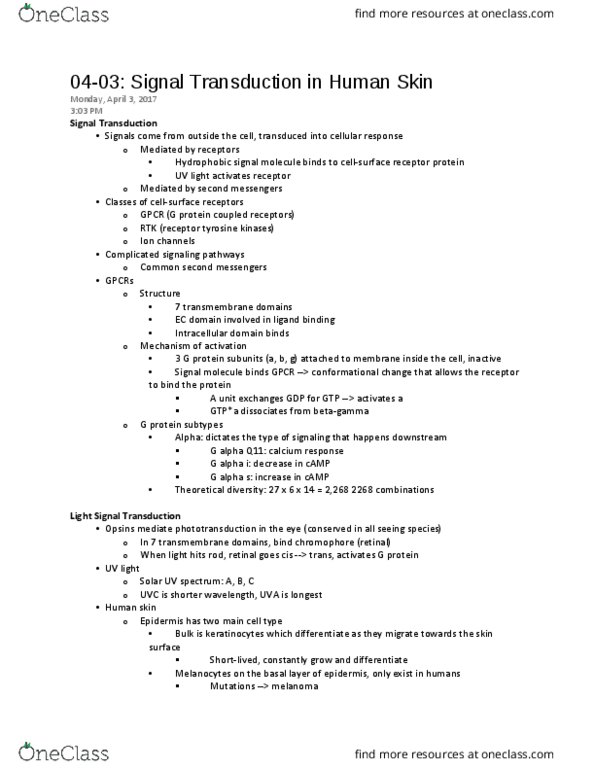 BIOL 1100 Lecture Notes - Lecture 8: Visual Phototransduction, Chromophore, Melanoma thumbnail