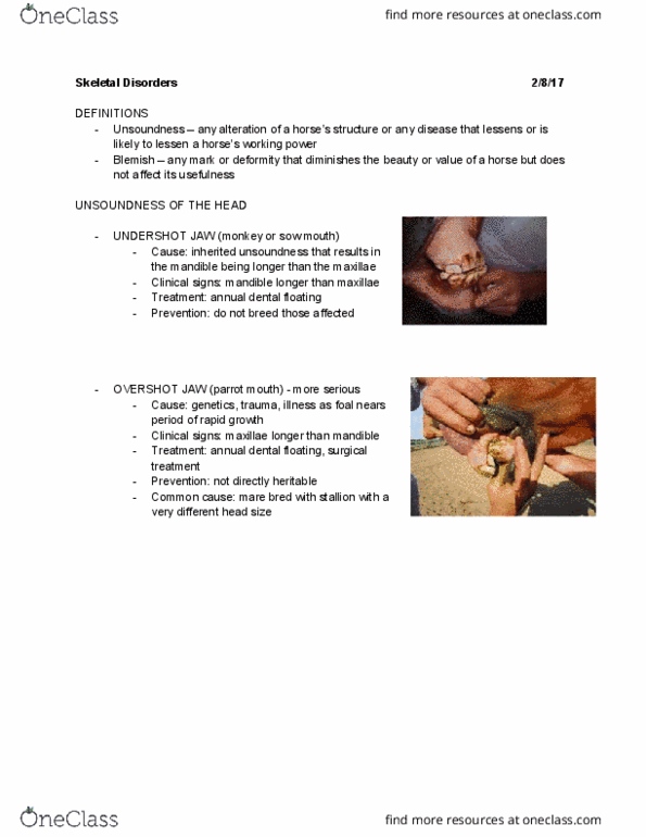 ANSC 2251 Lecture Notes - Lecture 6: Vasodilation, Arthrodesis, Flat Feet thumbnail