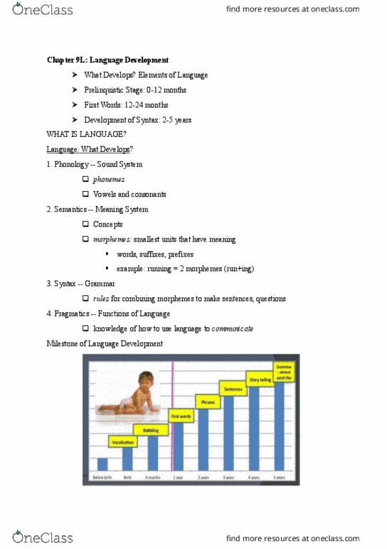 01:830:331 Lecture Notes - Lecture 9: Speech Perception, Fast Mapping, Nonsense Word thumbnail