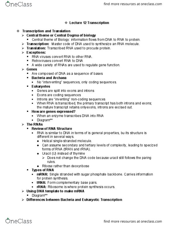 BMB 240 Lecture Notes - Lecture 12: Ribose, Intron, Transcription Bubble thumbnail