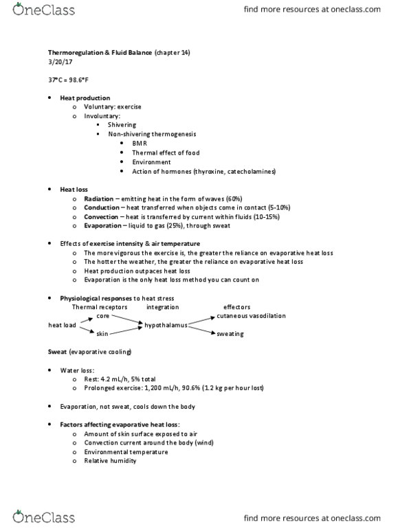 HES 250 Lecture Notes - Lecture 9: Evaporation, Nephron, Adrenal Gland thumbnail