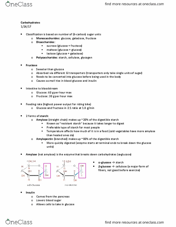 HES 250 Lecture Notes - Lecture 1: Hyperglycemia, Maltose, Oxaloacetic Acid thumbnail