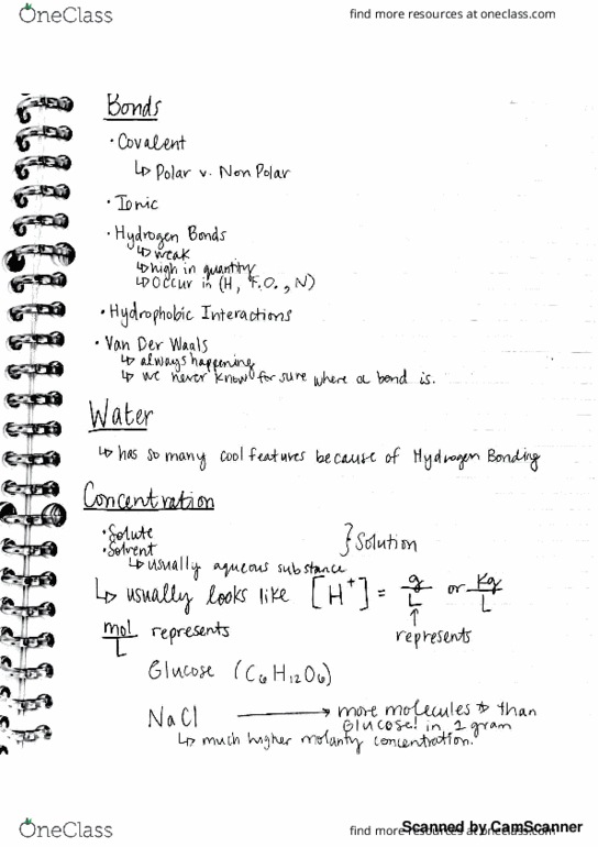 BMS-UY 1004 Lecture 4: Bio Lecture 4 thumbnail