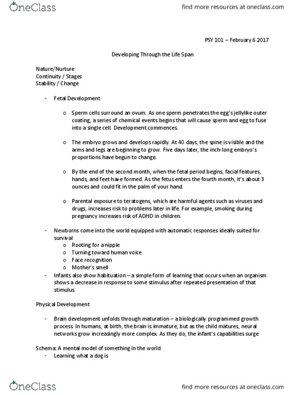 PSY 101 Lecture Notes - Lecture 8: Facial Recognition System, Teratology, Egg Cell thumbnail