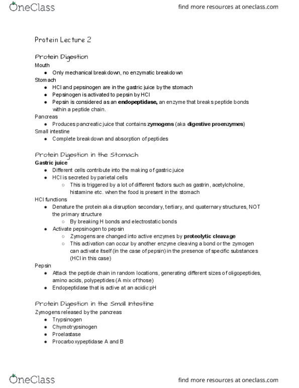 NUTR 3210 Lecture Notes - Lecture 2: Trypsin Inhibitor, Zymogen, Pancreatic Juice thumbnail