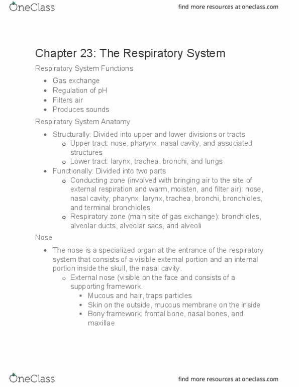 BIOL 1020 Lecture Notes - Lecture 5: Airway Resistance, Stratum Basale, Hemoglobin thumbnail