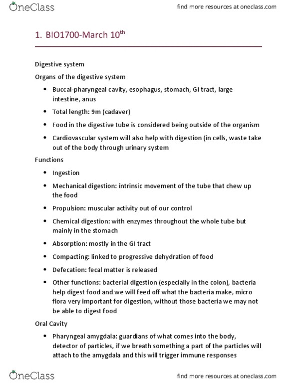 BIO 1700 Lecture Notes - Lecture 14: Peristalsis, Herbivore, Chyme thumbnail