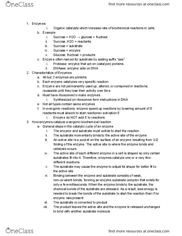 BIOS 101 Lecture Notes - Lecture 10: Exergonic Reaction, Deoxyribonuclease, Catalytic Cycle thumbnail