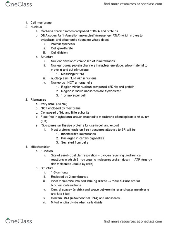 BIOS 101 Lecture Notes - Lecture 14: Endoplasmic Reticulum, Nuclear Membrane, Messenger Rna thumbnail