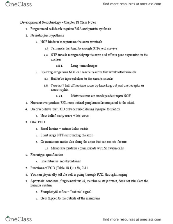 BISC439 Lecture Notes - Lecture 18: Retinal Ganglion Cell, Programmed Cell Death, Basal Lamina thumbnail