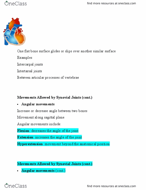 BIO 105 Lecture Notes - Lecture 12: Synovial Joint, Sagittal Plane, Articular Processes thumbnail