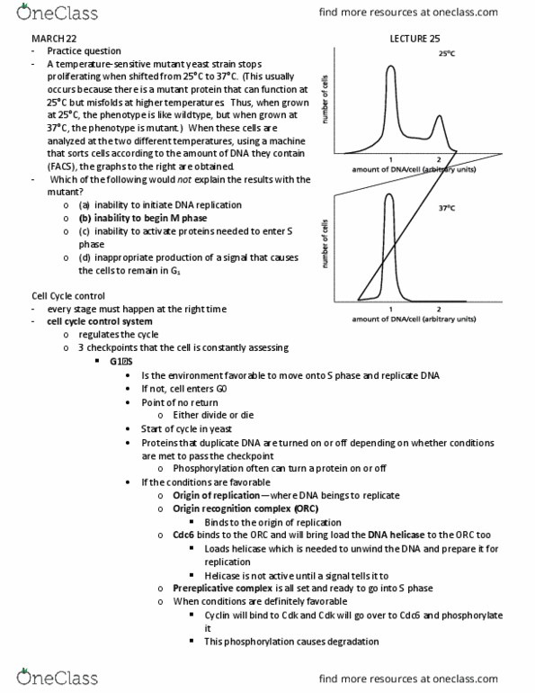 BIOL3040 Lecture Notes - Lecture 25: Origin Recognition Complex, Cdc6, Cdc25 thumbnail