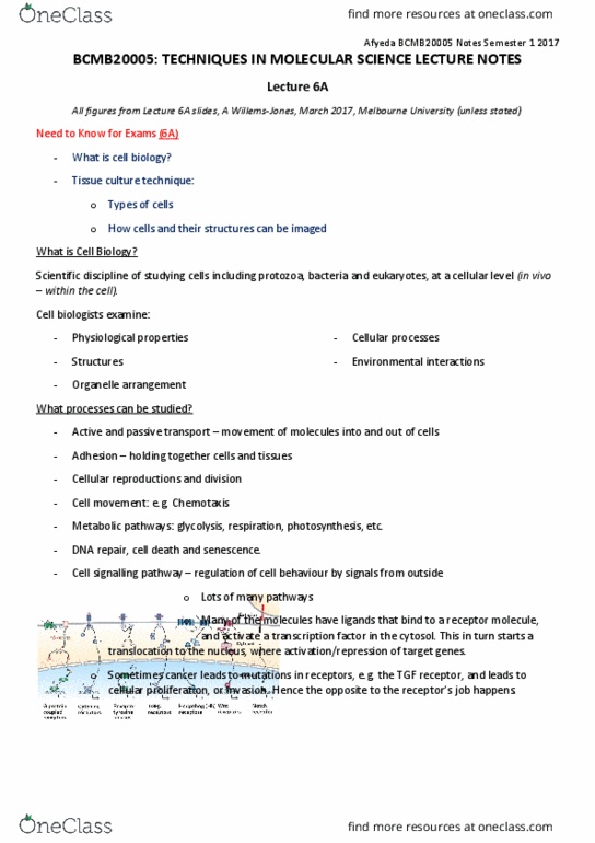 BCMB20005 Lecture Notes - Lecture 6: Chlorocebus, Jonas Salk, Protein Purification thumbnail