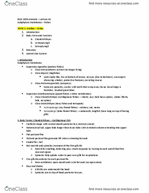 BIOL 2030 Lecture Notes - Lecture 16: Diel Vertical Migration, Sarcopterygii, Rete Mirabile thumbnail