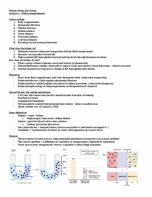 PSL301H1 Lecture Notes - Renal Artery, Romk, Adrenal Tumor thumbnail