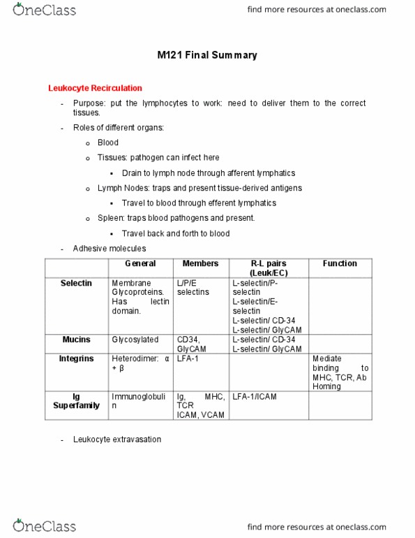 BIO SCI M121 Lecture Notes - Lecture 30: Leukocyte Extravasation, Lymph Node, Mhc Class Ii thumbnail