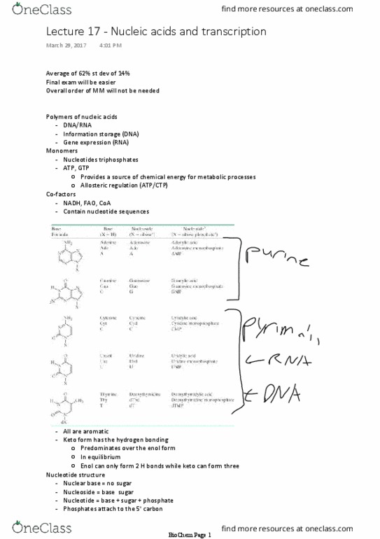 BCH 2333 Lecture Notes - Lecture 17: Phosphodiester Bond, Enol, Nucleoside thumbnail