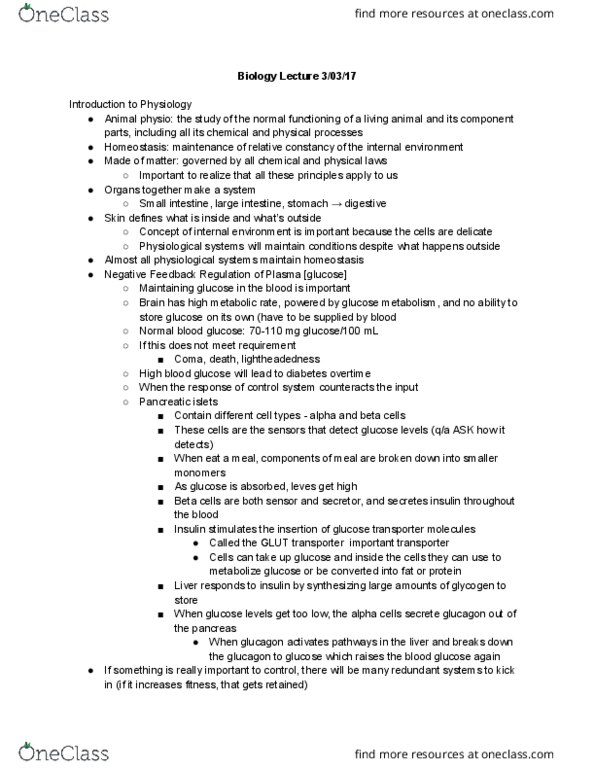 BISC 220Lg Lecture Notes - Lecture 13: Pancreatic Islets, Blood Sugar, Glucose Transporter thumbnail