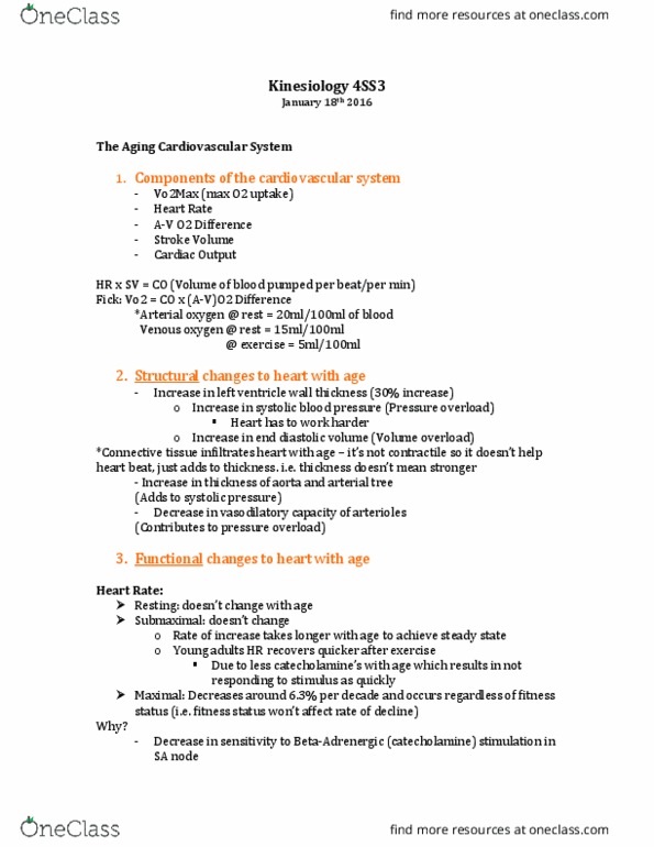 KINESIOL 3U03 Lecture Notes - Lecture 3: Sinoatrial Node, Thermoregulation, Aorta thumbnail