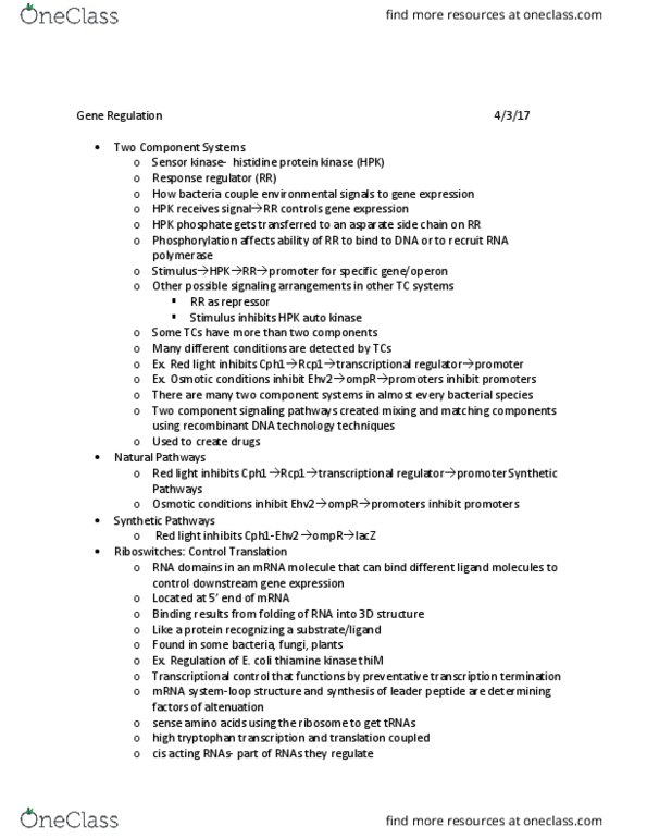 BSCI 283 Lecture Notes - Lecture 16: Thiamine, Intergenic Region, Tryptophan thumbnail