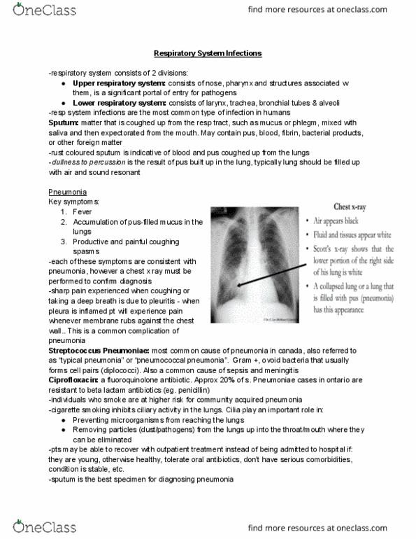 HTHSCI 2HH3 Lecture Notes - Lecture 2: Filter Paper, Optochin, Sensitivity And Specificity thumbnail