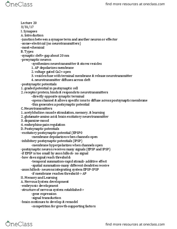 01:119:116 Lecture Notes - Lecture 20: Rhodopsin, Sensory Neuron, Cerebral Cortex thumbnail