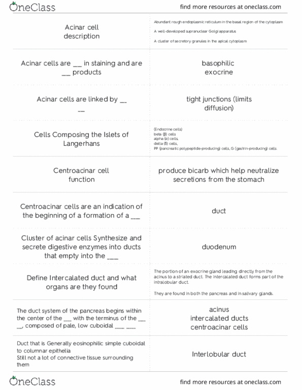 BIO 4430 Lecture Notes - Lecture 6: Endoplasmic Reticulum, Centroacinar Cell, Exocrine Gland thumbnail