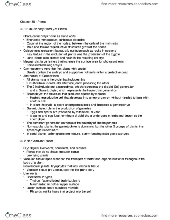 BIOL 1541L Chapter Notes - Chapter 30: Pinophyta, Pollen Tube, Stamen thumbnail