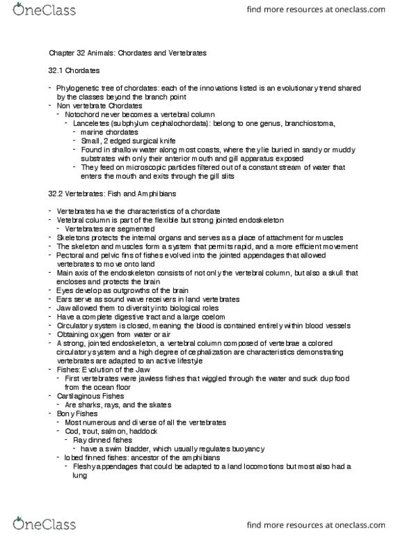 BIOL 1541L Chapter Notes - Chapter 32: Interventricular Septum, Body Hair, Air Sacs thumbnail