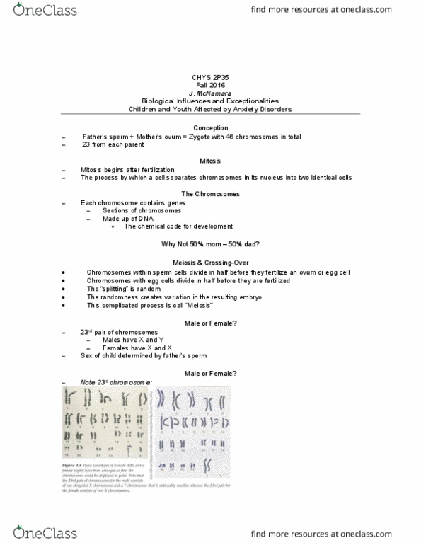 CHYS 2P35 Lecture Notes - Lecture 4: Functional Analysis, Zygosity, Hypervigilance thumbnail