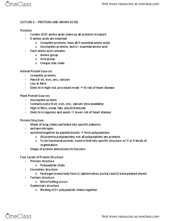 BPK 110 Lecture Notes - Lecture 6: Beta Sheet, Essential Amino Acid, High-Protein Diet thumbnail