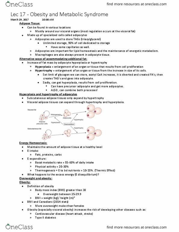 BCH 3120 Lecture Notes - Lecture 17: Cardiovascular Disease, High-Density Lipoprotein, Oxidative Stress thumbnail